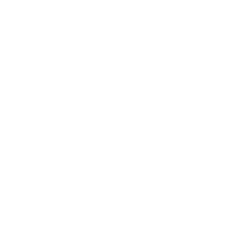 Construction of the Shâna wordmark, letter by letter