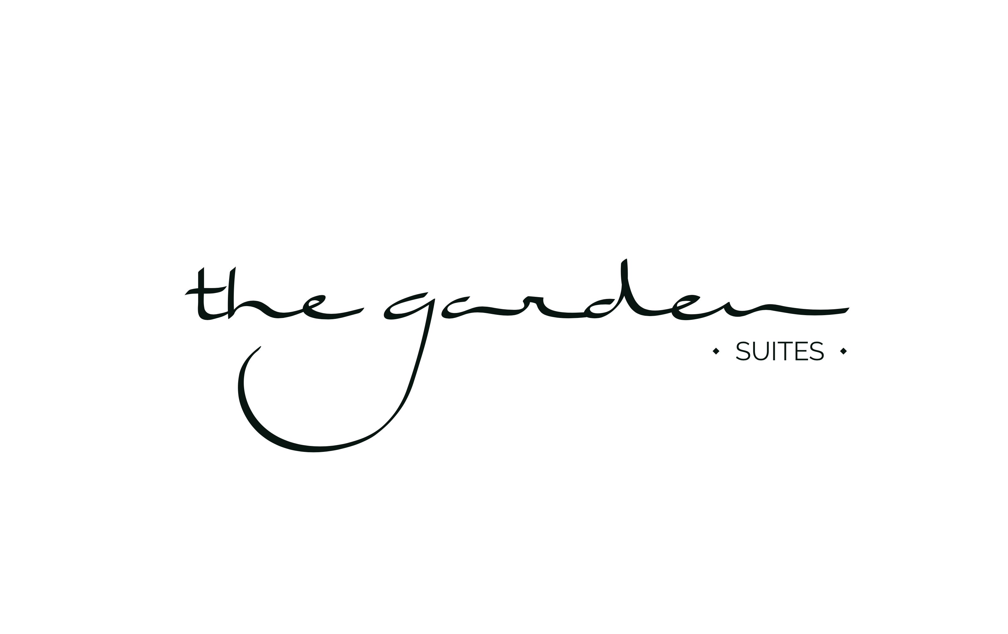Wordmark exploration — cursive, continuous stroke