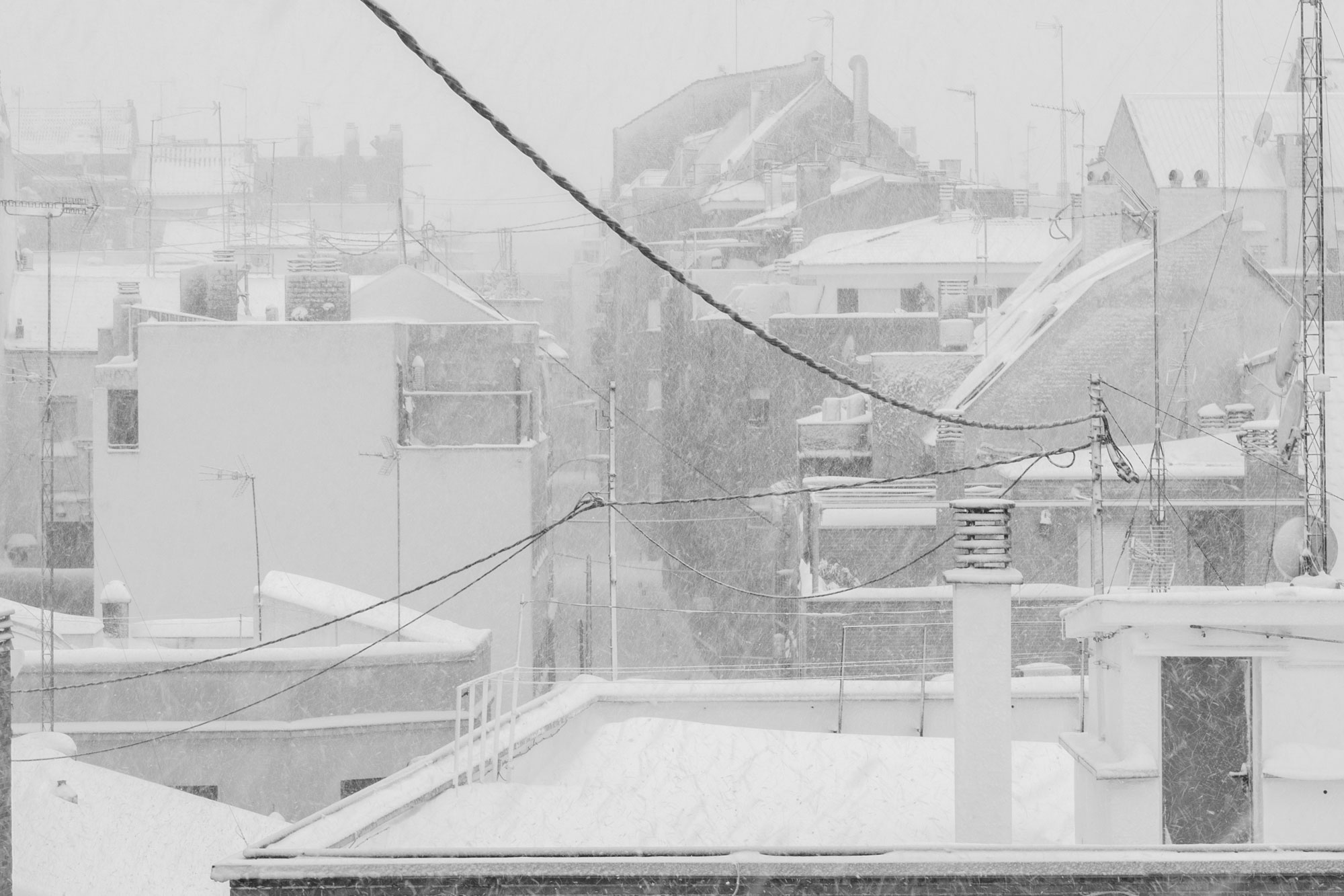 Filomena — 03
