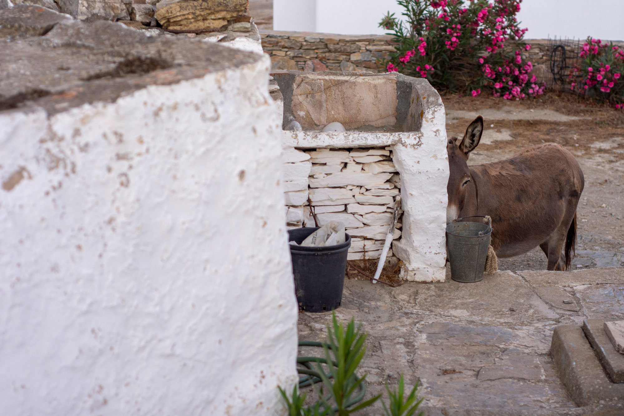 Greece — 15