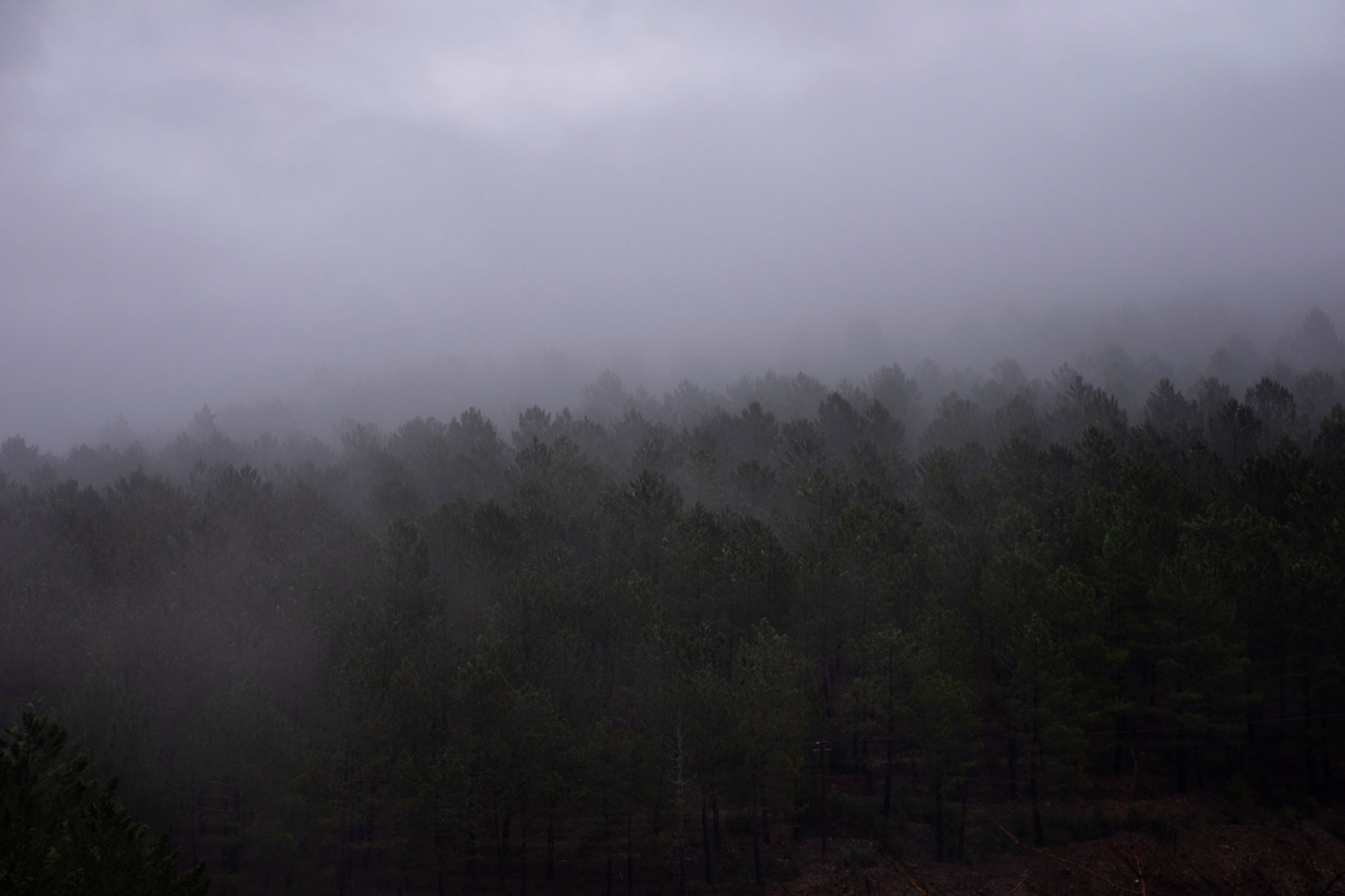 Half light — 13