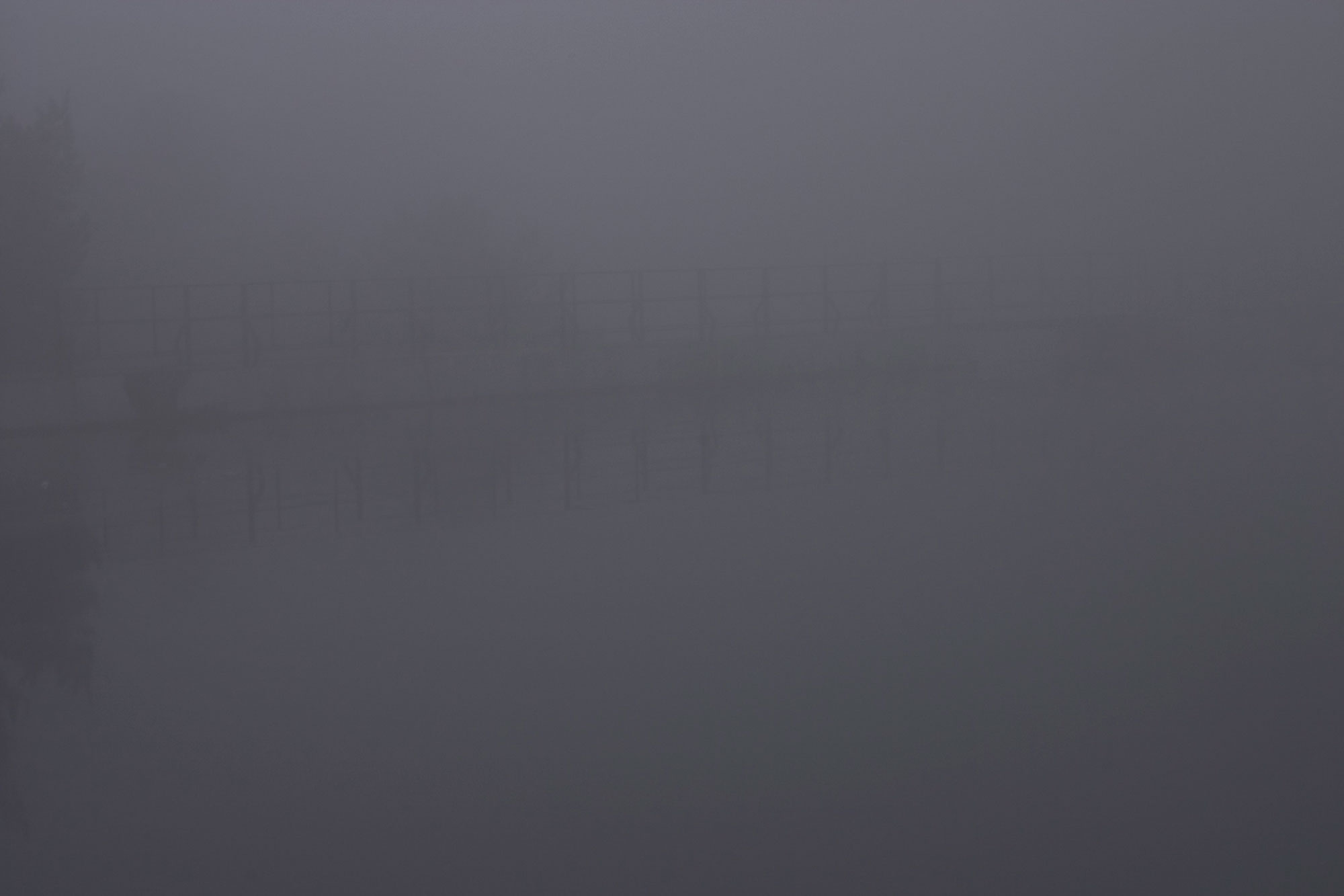 Half light — 14