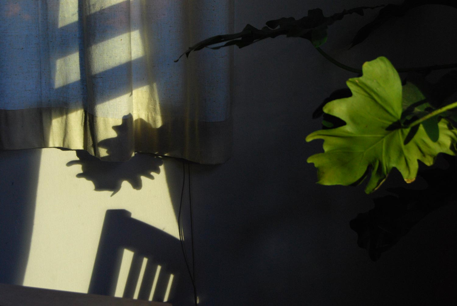 Other rooms — 05
