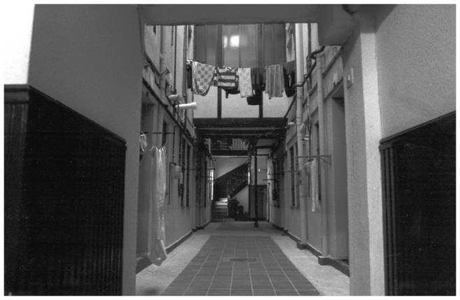 Puertas adentro — 04