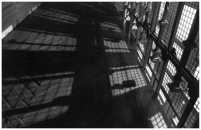 Puertas adentro — 09