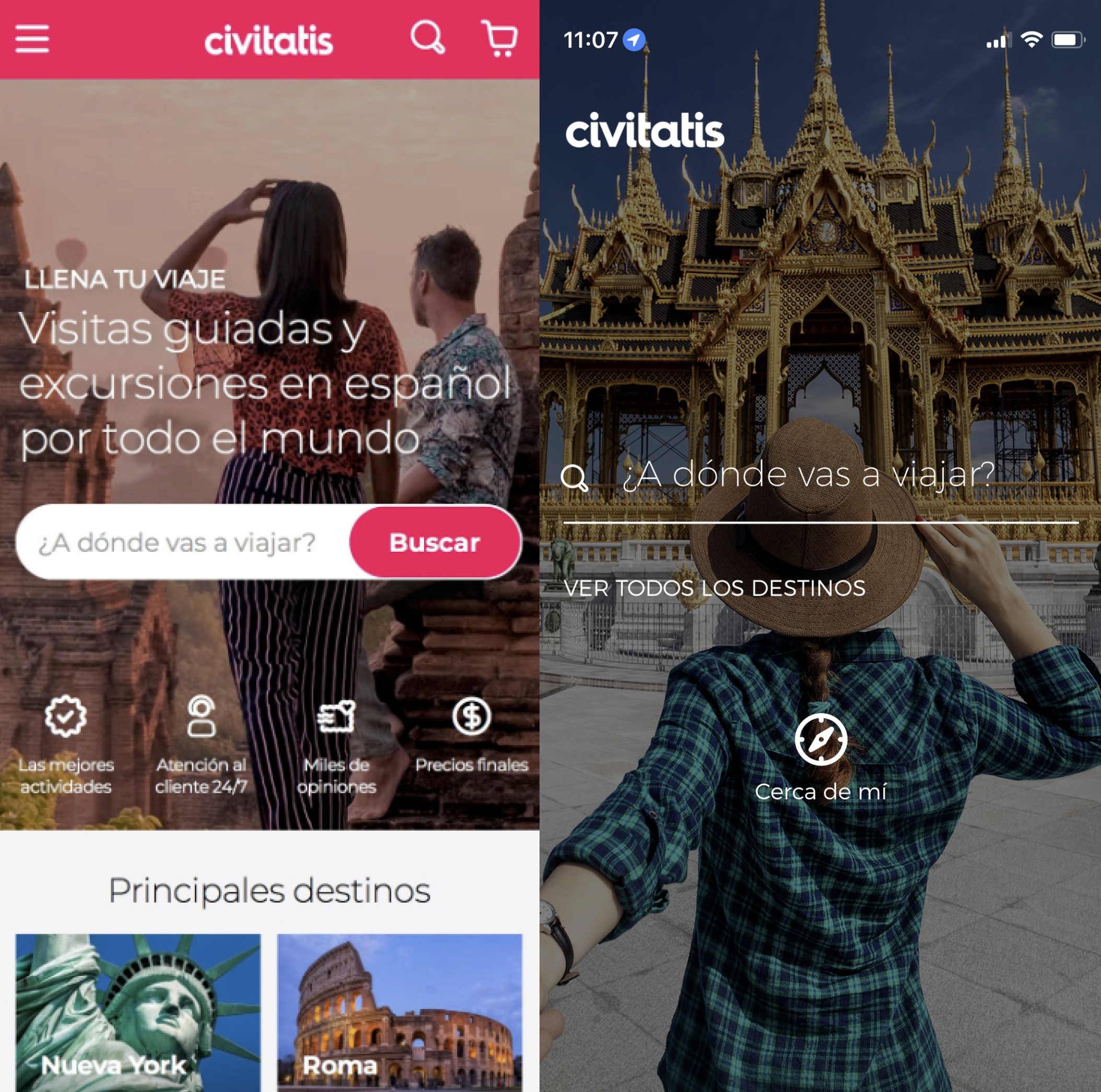 Web and app versions of the same product with completely different visual styles